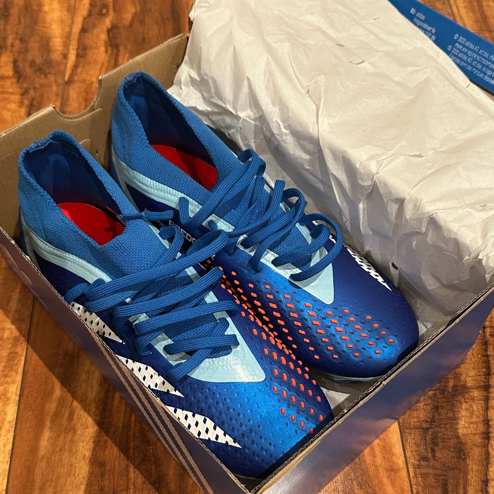 Adidas Predator FG Accuracy.2 cleats